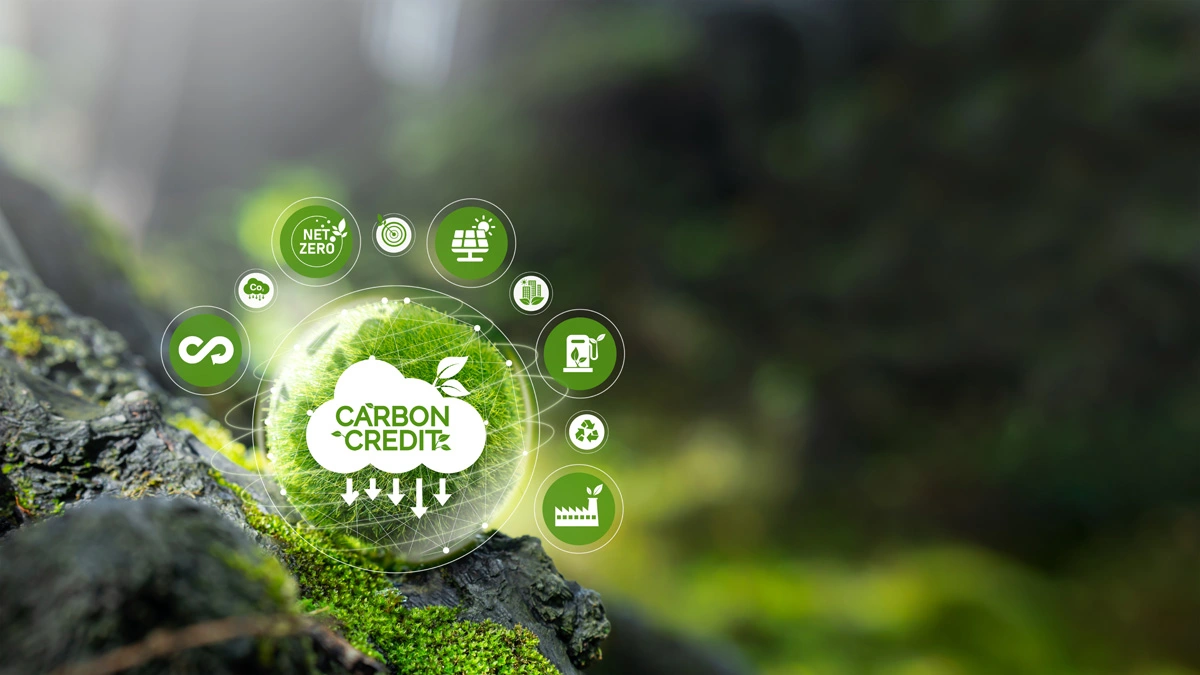 Sustainable future with eco-friendly measurement tools and environmental impact assessment